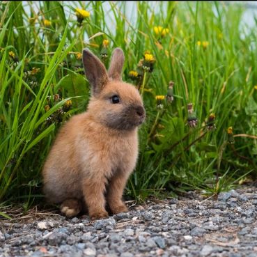 شراء توربو-في-بي-ان عرض 12 شهرا، توربو-في بي ان عرض 12 شهرا أفضل شراء، سعر توربو-في بي ان عرض 12 شهرا، شراء توربو-في بي ان عرض 12 شهرا بأفضل وأقل سعر، ثمن وتكلفة توربو-في بي ان عرض 12 شهرا، إختبار وتجريب توربو-في بي ان عرض 12 شهرا، مراجعة توربو-في بي ان عرض 12 شهرا، إستعراض توربو-في بي ان عرض 12 شهرا، شراء توربو-في بي ان عرض 12 شهرا عبر الإنترنت، شراء توربو-في بي ان عرض 12 شهرا من أفضل وأشهر متجر، توربو-في بي ان عرض 12 شهرا أفضل تسوق الكتروني، توربو-في بي ان عرض 12 شهرا نسخة عالمية، توربو-في بي ان عرض 12 شهرا جديد وأصلي، توربو-في بي ان عرض 12 شهرا آخر إصدار، أين أجد توربو-في بي ان عرض 12 شهرا، من أين أشتري توربو-في بي ان عرض 12 شهرا، شراء توربو-في بي ان عرض 12 شهرا مع الكوبونات والتخفيضات، شراء توربو-في بي ان عرض 12 شهرا من أفضل متجر مع توصيل إلى غاية المنزل، طلب توربو-في بي ان عرض 12 شهرا بأرخص سعر، buy t.u.r.b.o vpn view 12 months, t.u.r.b.o vpn view 12 months best buy, price of t.u.r.b.o vpn view 12 months, buy t.u.r.b.o vpn view 12 months best and lowest price, cost of t.u.r.b.o vpn view 12 months, t.u.r.b.o vpn view 12 months trial and test, t.u.r.b.o vpn view 12 months review, t.u.r.b.o vpn view 12 months buy online, buy t.u.r.b.o vpn view 12 months from the best store, t.u.r.b.o vpn view 12 months best online shopping, t.u.r.b.o vpn view 12 months global version, t.u.r.b.o vpn view 12 months new and original, t.u.r.b.o vpn view 12 months last version, where to buy , t.u.r.b.o vpn view 12 months unboxing, t.u.r.b.o vpn view 12 months promotion and discount, buy t.u.r.b.o vpn view 12 months from the best estore with shipping to home, order t.u.r.b.o vpn view 12 months best price