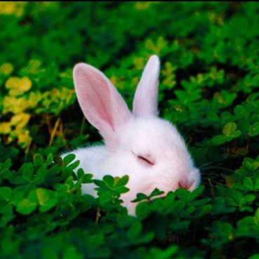 شراء توربو-في-بي-ان عرض 6 اشهر، توربو-في بي ان عرض 6 اشهر أفضل شراء، سعر توربو-في بي ان عرض 6 اشهر، شراء توربو-في بي ان عرض 6 اشهر بأفضل وأقل سعر، ثمن وتكلفة توربو-في بي ان عرض 6 اشهر، إختبار وتجريب توربو-في بي ان عرض 6 اشهر، مراجعة توربو-في بي ان عرض 6 اشهر، إستعراض توربو-في بي ان عرض 6 اشهر، شراء توربو-في بي ان عرض 6 اشهر عبر الإنترنت، شراء توربو-في بي ان عرض 6 اشهر من أفضل وأشهر متجر، توربو-في بي ان عرض 6 اشهر أفضل تسوق الكتروني، توربو-في بي ان عرض 6 اشهر نسخة عالمية، توربو-في بي ان عرض 6 اشهر جديد وأصلي، توربو-في بي ان عرض 6 اشهر آخر إصدار، أين أجد توربو-في بي ان عرض 6 اشهر، من أين أشتري توربو-في بي ان عرض 6 اشهر، شراء توربو-في بي ان عرض 6 اشهر مع الكوبونات والتخفيضات، شراء توربو-في بي ان عرض 6 اشهر من أفضل متجر مع توصيل إلى غاية المنزل، طلب توربو-في بي ان عرض 6 اشهر بأرخص سعر، buy t.u.r.b.o vpn view 6 months, t.u.r.b.o vpn view 6 months best buy, price of t.u.r.b.o vpn view 6 months, buy t.u.r.b.o vpn view 6 months best and lowest price, cost of t.u.r.b.o vpn view 6 months, t.u.r.b.o vpn view 6 months trial and test, t.u.r.b.o vpn view 6 months review, t.u.r.b.o vpn view 6 months buy online, buy t.u.r.b.o vpn view 6 months from the best store, t.u.r.b.o vpn view 6 months best online shopping, t.u.r.b.o vpn view 6 months global version, t.u.r.b.o vpn view 6 months new and original, t.u.r.b.o vpn view 6 months last version, where to buy , t.u.r.b.o vpn view 6 months unboxing, t.u.r.b.o vpn view 6 months promotion and discount, buy t.u.r.b.o vpn view 6 months from the best estore with shipping to home, order t.u.r.b.o vpn view 6 months best price