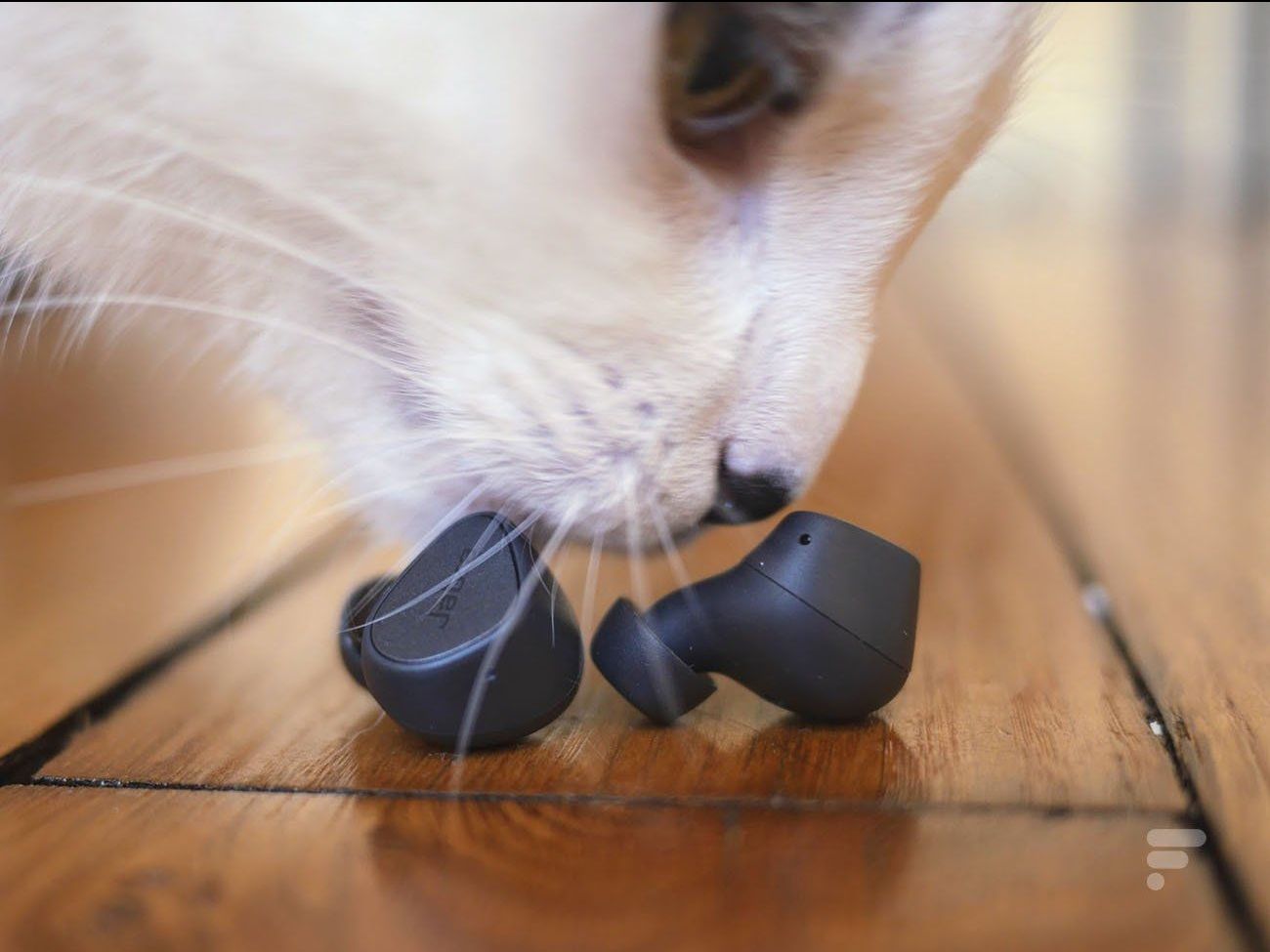 شراء سماعات جبرا ايليت 3، سماعات جبرا ايليت 3 افضل شراء، سعر سماعات جبرا ايليت 3، شراء سماعات جبرا ايليت 3 بافضل سعر، شراء سماعات جبرا ايليت 3 عبر الانترنت، شراء سماعات جبرا ايليت 3 اونلاين، طلب سماعات جبرا ايليت 3 بارخص واقل سعر، ثمن وتكلفة سماعات جبرا ايليت 3، مراجعة سماعات جبرا ايليت 3، استعراض سماعات جبرا ايليت 3، شراء سماعات جبرا ايليت 3 من افضل متجر، شراء سماعات جبرا ايليت 3 مع الكوبونات والتخفيضات، شراء سماعات جبرا ايليت 3 مع توصيل الى المنزل، شراء سماعات جبرا ايليت 3 بجودة عالية، اختبار وتجريب سماعات جبرا ايليت 3، سماعات جبرا ايليت 3 نسخة عالمية، سماعات جبرا ايليت 3 جديد واصلي، اين اجد سماعات جبرا ايليت 3، من اين اشتري سماعات جبرا ايليت 3، ايجابيات وسلبيات سماعات جبرا ايليت 3