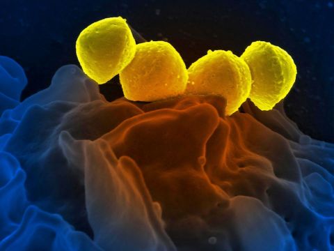 Buy kas-par-sky Internet Security for Android, kas-par-sky Internet Security for Android Best Buy, kas-par-sky Internet Security for Android price, buy kas-par-sky Internet Security for Android program at best cheapest and lowest price, price and cost of kas-par-sky Internet Security for Android program, kas-par-sky Internet Security for Android test and test, kas-pars-ky Internet Security for Android test and trial, kas-par-sky Internet Security for Android program review, kas-par-sky Internet Security for Android review, Buy kas-par-sky Internet Security for Android program online, Buy kas-par-sky Internet Security for Android from the best and most famous store, shop kas-par-sky Internet Security for Android program, kas-par-sky Internet Security for Android best shopping, kas-par-sky Internet Security for Android software Best online shopping, kas-par-sky Internet Security for Android universal version, kas-par-sky Internet Security for Android new and original, kas-par-sky Internet Security for Android latest version, شراء كاسبارسكي أمن الإنترنت للأندرويد، كاسبارسكي أمن الإنترنت للأندرويد أفضل شراء، سعر كاسبارسكي أمن الإنترنت للأندرويد، شراء برنامج كاسبارسكي أمن الإنترنت للأندرويد بأفضل وأرخص وأقل سعر، ثمن وتكلفة برنامج كاسبارسكي أمن الإنترنت للأندرويد، تجربة واختبار كاسبارسكي أمن الإنترنت للأندرويد، إختبار وتجريب كاسبارسكي أمن الإنترنت للأندرويد، مراجعة برنامج كاسبارسكي أمن الإنترنت للأندرويد، إستعراض كاسبارسكي أمن الإنترنت للأندرويد، شراء برنامج كاسبارسكي أمن الإنترنت للأندرويد عبر الإنترنت، شراء كاسبارسكي أمن الإنترنت للأندرويد من أفضل وأشهر متجر، تسوق برنامج كاسبارسكي أمن الإنترنت للأندرويد، برنامج كاسبارسكي أمن الإنترنت للأندرويد أفضل تسوق، برنامج كاسبارسكي أمن الإنترنت للأندرويد أفضل تسوق الكتروني، برنامج كاسبارسكي أمن الإنترنت للأندرويد نسخة عالمية، برنامج كاسبارسكي أمن الإنترنت للأندرويد جديد وأصلي، برنامج كاسبارسكي أمن الإنترنت للأندرويد آخر نسخة