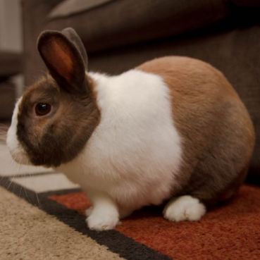 شراء توربو-في-بي-ان عرض شهري، توربو-في بي ان عرض شهري أفضل شراء، سعر توربو-في بي ان عرض شهري، شراء توربو-في بي ان عرض شهري بأفضل وأقل سعر، ثمن وتكلفة توربو-في بي ان عرض شهري، إختبار وتجريب توربو-في بي ان عرض شهري، مراجعة توربو-في بي ان عرض شهري، إستعراض توربو-في بي ان عرض شهري، شراء توربو-في بي ان عرض شهري عبر الإنترنت، شراء توربو-في بي ان عرض شهري من أفضل وأشهر متجر، توربو-في بي ان عرض شهري أفضل تسوق الكتروني، توربو-في بي ان عرض شهري نسخة عالمية، توربو-في بي ان عرض شهري جديد وأصلي، توربو-في بي ان عرض شهري آخر إصدار، أين أجد توربو-في بي ان عرض شهري، من أين أشتري توربو-في بي ان عرض شهري، شراء توربو-في بي ان عرض شهري مع الكوبونات والتخفيضات، شراء توربو-في بي ان عرض شهري من أفضل متجر مع توصيل إلى غاية المنزل، طلب توربو-في بي ان عرض شهري بأرخص سعر، buy t.u.r.b.o vpn view 1 month, t.u.r.b.o vpn view 1 month best buy, price of t.u.r.b.o vpn view 1 month, buy t.u.r.b.o vpn view 1 month best and lowest price, cost of t.u.r.b.o vpn view 1 month, t.u.r.b.o vpn view 1 month trial and test, t.u.r.b.o vpn view 1 month review, t.u.r.b.o vpn view 1 month buy online, buy t.u.r.b.o vpn view 1 month from the best store, t.u.r.b.o vpn view 1 month best online shopping, t.u.r.b.o vpn view 1 month global version, t.u.r.b.o vpn view 1 month new and original, t.u.r.b.o vpn view 1 month last version, where to buy t.u.r.b.o vpn view 1 month, t.u.r.b.o vpn view 1 months unboxing, t.u.r.b.o vpn view 1 month promotion and discount, buy t.u.r.b.o vpn view 1 month from the best estore with shipping to home, order t.u.r.b.o vpn view 1 month best price