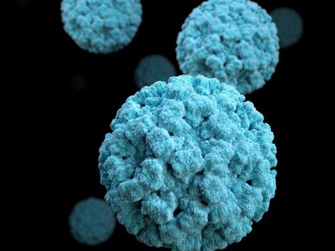 Buy kas-par-sky Safe Kids, kas-par-sky Safe Kids Best Buy, kas-par-sky Safe Kids price, buy kas-par-sky Safe Kids program at best, cheapest and lowest price, price and cost of kas-par-sky Safe Kids program, kas-par-sky Safe Kids test and test, kas-pars-ky Safe Kids test and trial, kas-par-sky Safe Kids program review, kas-par-sky Safe Kids review, Buy kas-par-sky Safe Kids program online, Buy kas-par-sky Safe Kids from the best and most famous store, shop kas-par-sky Safe Kids program, kas-par-sky Safe Kids best shopping, kas-par-sky Safe Kids software Best online shopping, kas-par-sky Safe Kids universal version, kas-par-sky Safe Kids new and original, kas-par-sky Safe Kids latest version, where to buy kas-par-sky Safe Kids, where to find kas-par-sky Safe Kids, order from the official website, where to find kas-par-sky Safe Kids with the highest quality, where to find kasparsky Safe Kids at the best price, where to buy kas-par-sky Safe Kids at the best price, شراء كاسبارسكي لحماية الأطفال، كاسبارسكي لحماية الأطفال أفضل شراء، سعر كاسبارسكي لحماية الأطفال، شراء برنامج كاسبارسكي لحماية الأطفال بأفضل وأرخص وأقل سعر، ثمن وتكلفة برنامج كاسبارسكي لحماية الأطفال، تجربة واختبار كاسبارسكي لحماية الأطفال، إختبار وتجريب كاسبارسكي لحماية الأطفال، مراجعة برنامج كاسبارسكي لحماية الأطفال، إستعراض كاسبارسكي لحماية الأطفال، شراء برنامج كاسبارسكي لحماية الأطفال عبر الإنترنت، شراء كاسبارسكي لحماية الأطفال من أفضل وأشهر متجر، تسوق برنامج كاسبارسكي لحماية الأطفال، برنامج كاسبارسكي لحماية الأطفال أفضل تسوق، برنامج كاسبارسكي لحماية الأطفال أفضل تسوق الكتروني، برنامج كاسبارسكي لحماية الأطفال نسخة عالمية، برنامج كاسبارسكي لحماية الأطفال جديد وأصلي، برنامج كاسبارسكي لحماية الأطفال آخر نسخة، من أين أشتري برنامج كاسبارسكي لحماية الأطفال، أين أجد برنامج كاسبارسكي لحماية الأطفال، طلب من الموقع الرسمي، أين أجد برنامج كاسبارسكي لحماية الأطفال بأعلى جودة، أين أجد برنامج كاسبارسكي لحماية الأطفال بأفضل سعر، من أين أشتري برنامج كاسبارسكي لحماية الأطفال بأفضل سعر