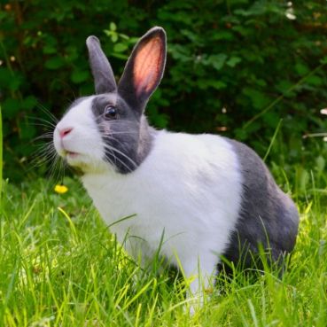 شراء توربو-في-بي-ان عرض 24 شهرا، توربو-في بي ان عرض 24 شهرا أفضل شراء، سعر توربو-في بي ان عرض 24 شهرا، شراء  توربو-في بي ان عرض 24 شهرا بأفضل وأقل سعر، ثمن وتكلفة توربو-في بي ان عرض 24 شهرا، إختبار وتجريب توربو-في بي ان عرض 24 شهرا، مراجعة توربو-في بي ان عرض 24 شهرا، إستعراض توربو-في بي ان عرض 24 شهرا، شراء توربو-في بي ان عرض 24 شهرا عبر الإنترنت، شراء توربو-في بي ان عرض 24 شهرا من أفضل وأشهر متجر، توربو-في بي ان عرض 24 شهرا أفضل تسوق الكتروني، توربو-في بي ان عرض 24 شهرا نسخة عالمية، توربو-في بي ان عرض 24 شهرا جديد وأصلي، توربو-في بي ان عرض 24 شهرا آخر إصدار، أين أجد توربو-في بي ان عرض 24 شهرا، من أين أشتري توربو-في بي ان عرض 24 شهرا، شراء توربو-في بي ان عرض 24 شهرا مع الكوبونات والتخفيضات، شراء توربو-في بي ان عرض 24 شهرا من أفضل متجر مع توصيل إلى غاية المنزل، طلب توربو-في بي ان عرض 24 شهرا بأرخص سعر، buy t.u.r.b.o vpn view 24 months, t.u.r.b.o vpn view 24 months best buy, price of t.u.r.b.o vpn view 24 months, buy t.u.r.b.o vpn view 24 months best and lowest price, cost of t.u.r.b.o vpn view 24 months, t.u.r.b.o vpn view 24 months trial and test, t.u.r.b.o vpn view 24 months review, t.u.r.b.o vpn view 24 months buy online, buy t.u.r.b.o vpn view 24 months from the best store, t.u.r.b.o vpn view 24 months best online shopping, t.u.r.b.o vpn view 24 months global version, t.u.r.b.o vpn view 24 months new and original, t.u.r.b.o vpn view 24 months last version, where to buy , t.u.r.b.o vpn view 24 months unboxing, t.u.r.b.o vpn view 24 months promotion and discount, buy t.u.r.b.o vpn view 24 months from the best estore with shipping to home, order t.u.r.b.o vpn view 24 months best price