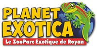 slane-coaching_planetexotica