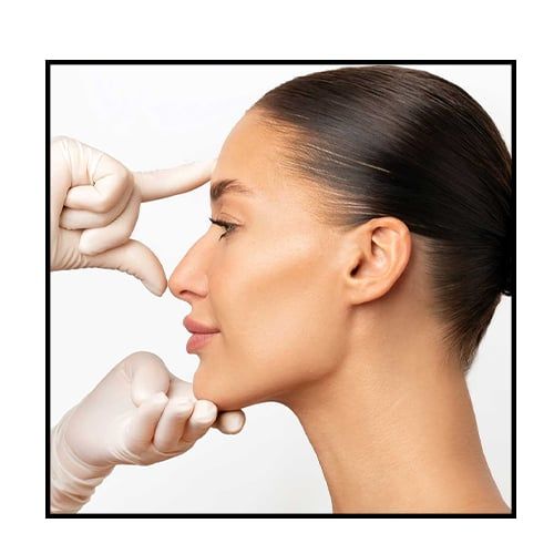 Différents Types de Nez