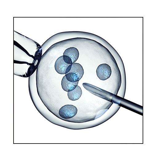 Fécondation in vitro en Tunisie