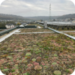 Toiture_Verte_ServicesConcept