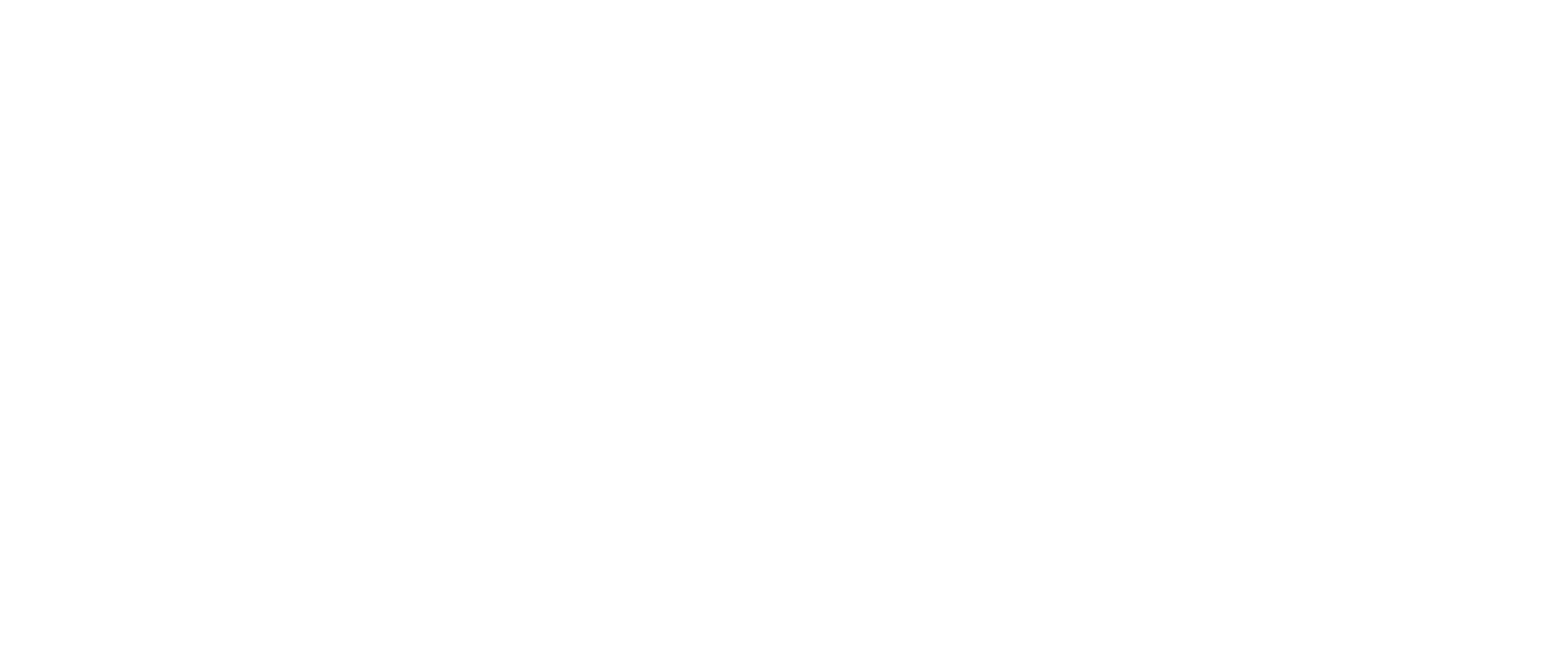 Logo SafetyConcept blanc