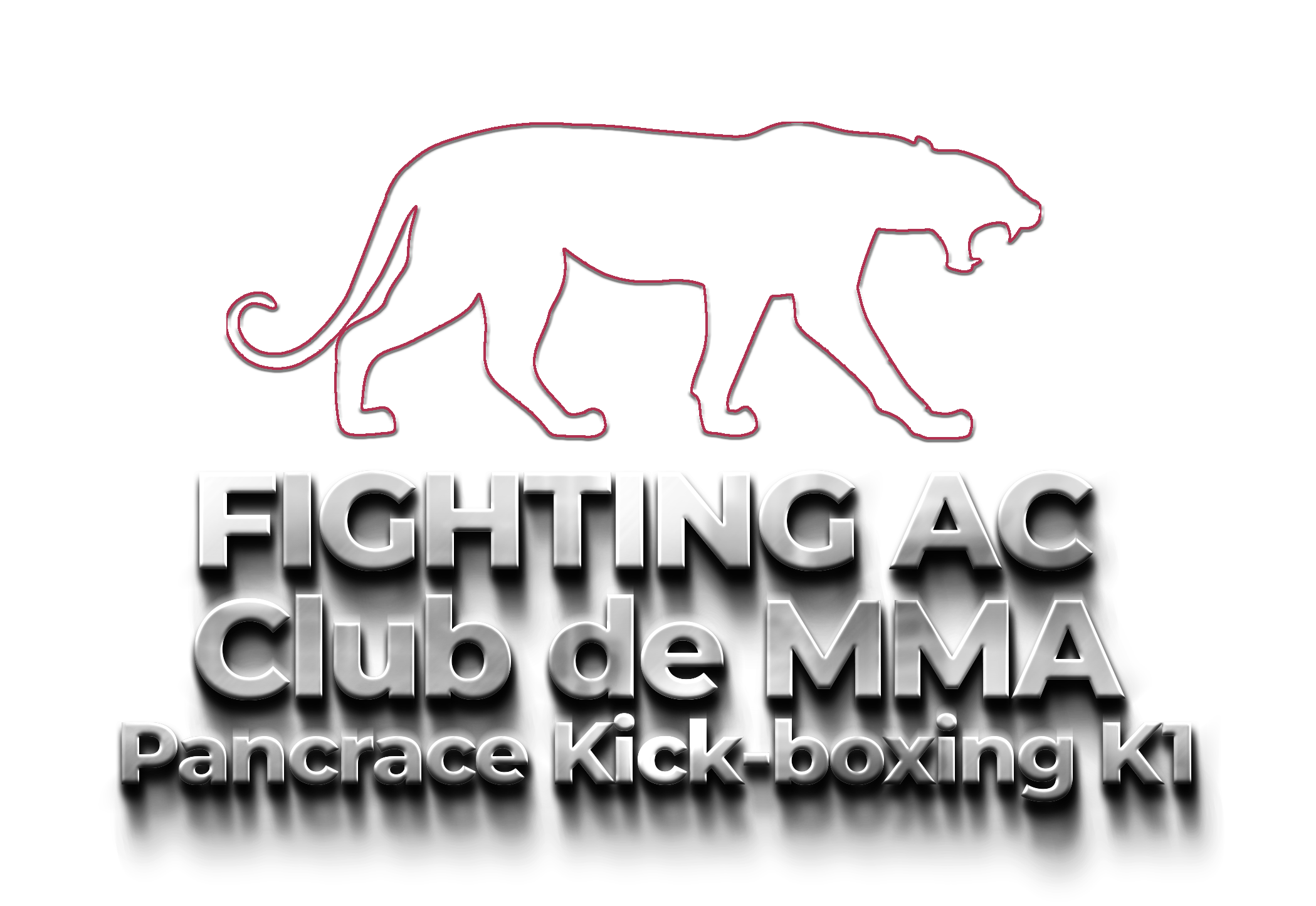 Logo  Fighting AC