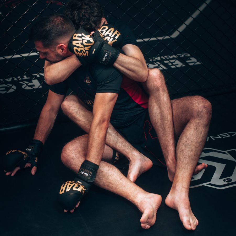 MMA Sol Khabib Techniques