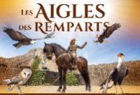 les aigles des remparts logo Krav Maga Protection KMP