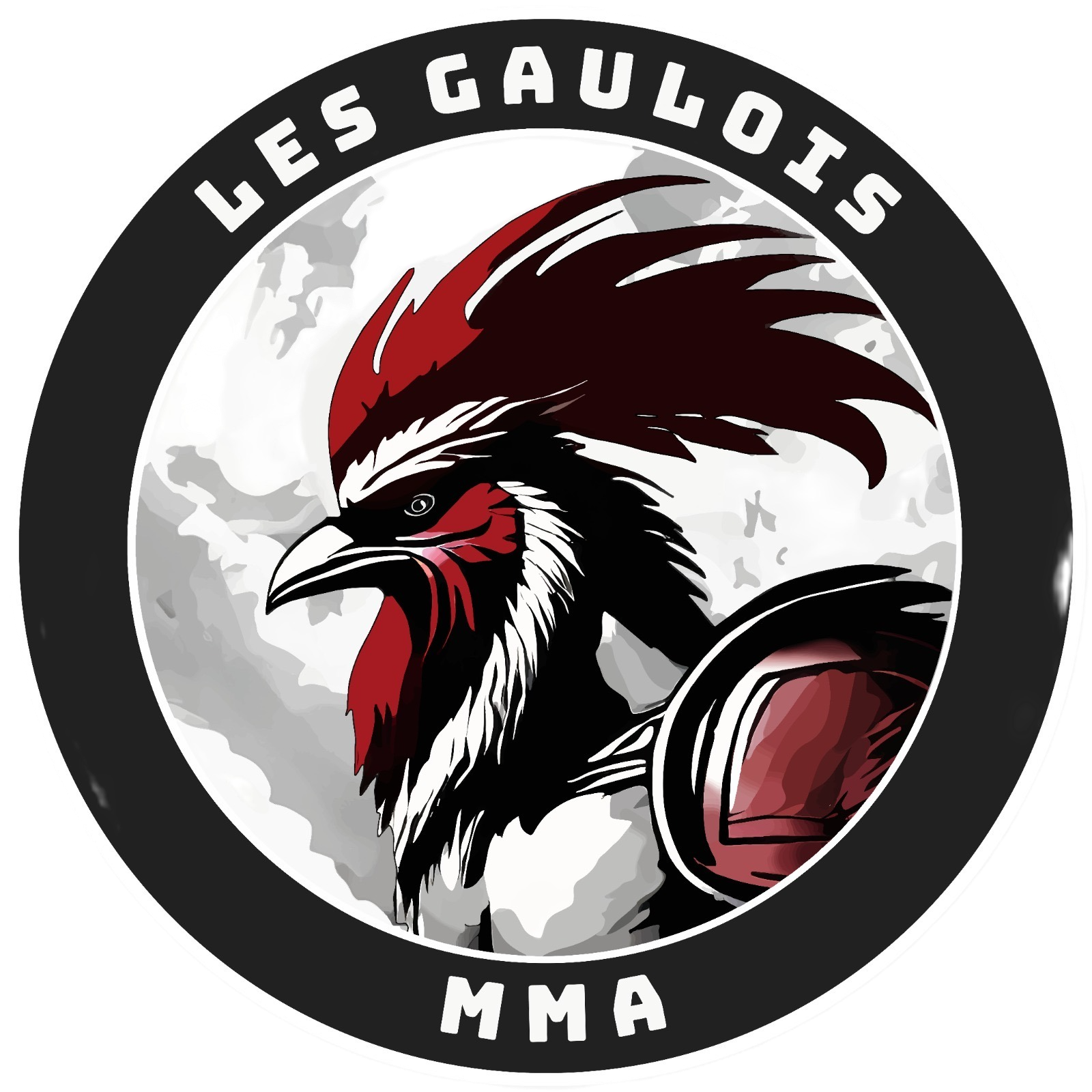 Logo les Gaulois